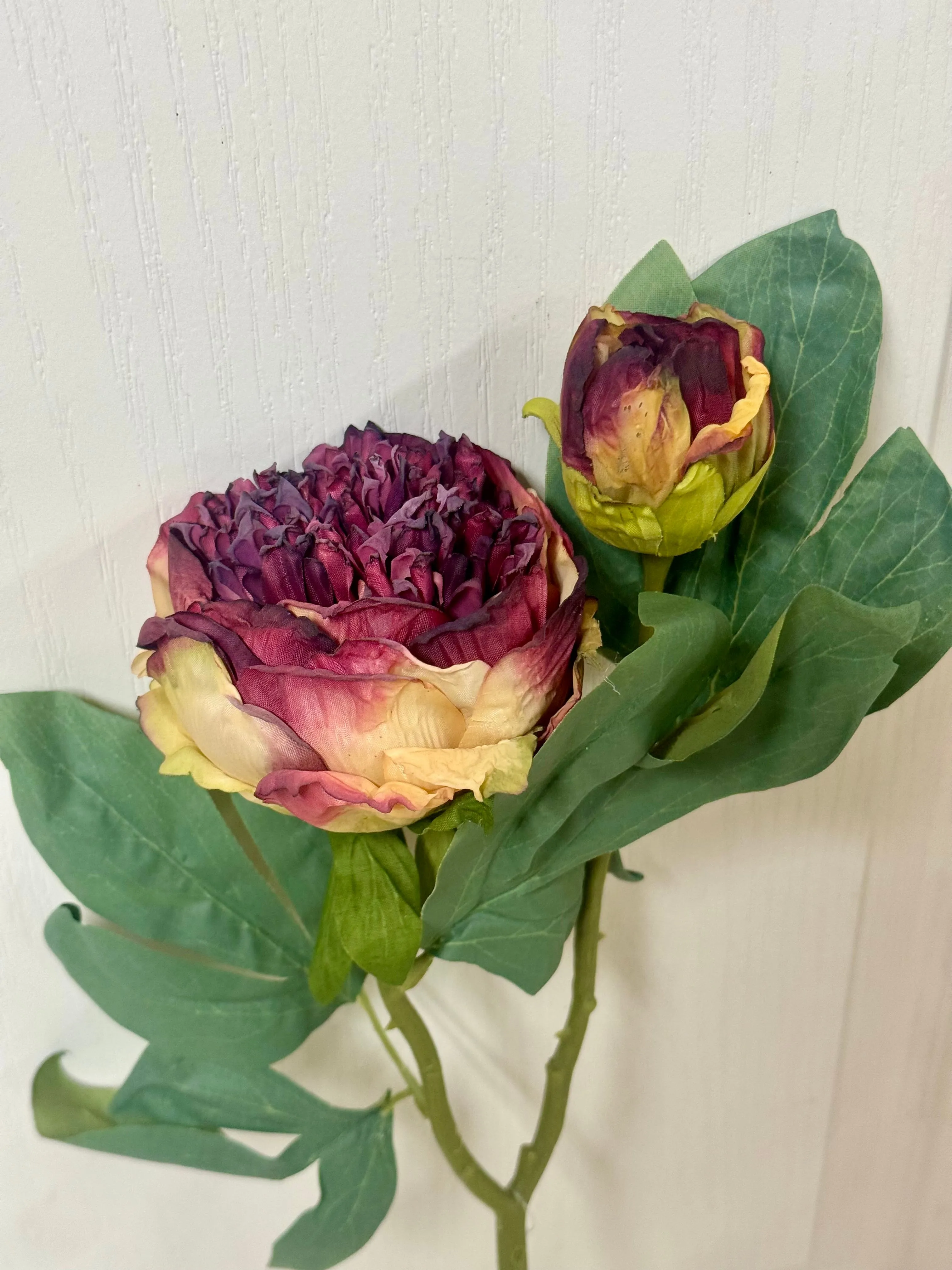 19 Inch Magenta Peony Spray