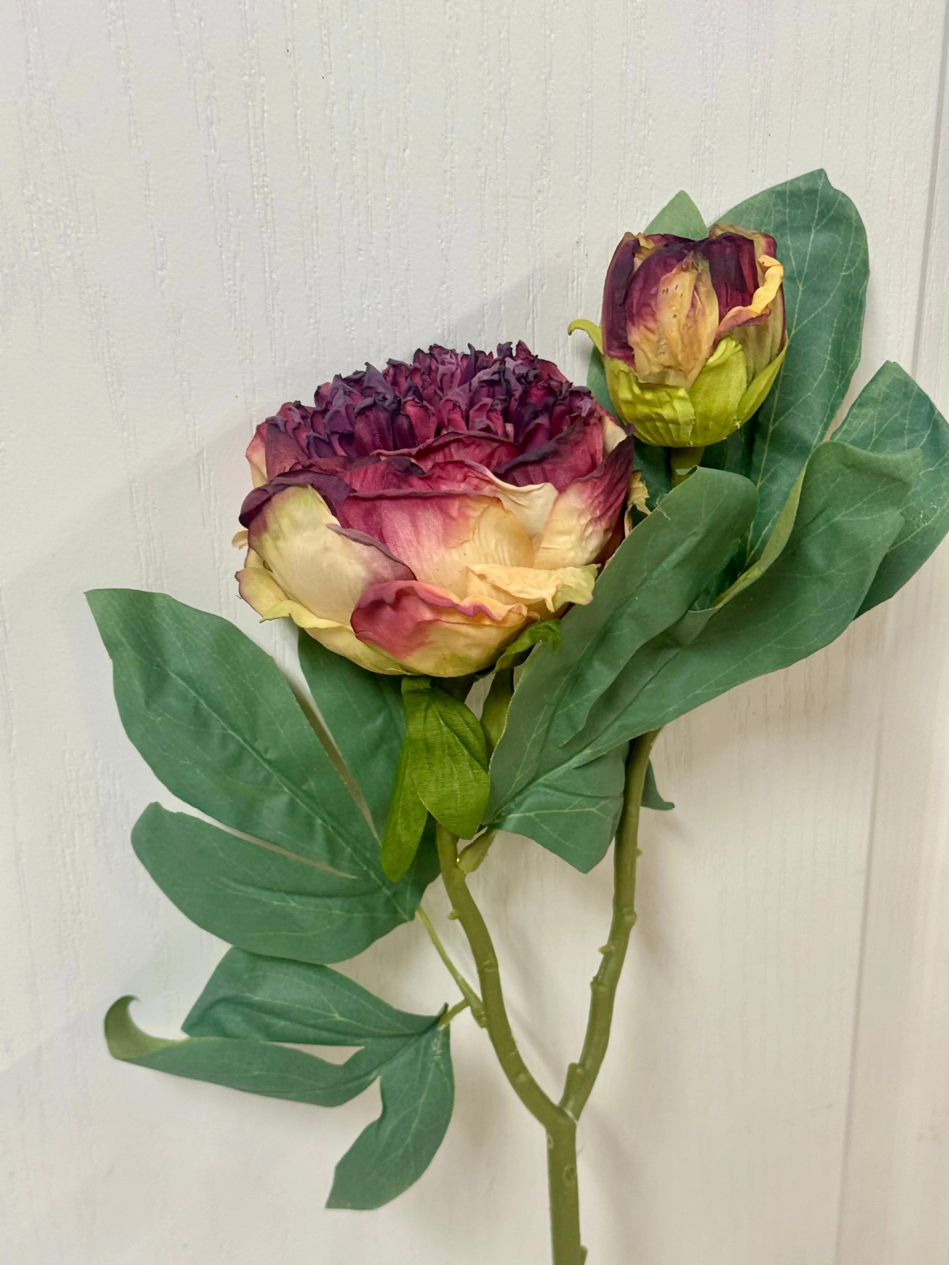 19 Inch Magenta Peony Spray