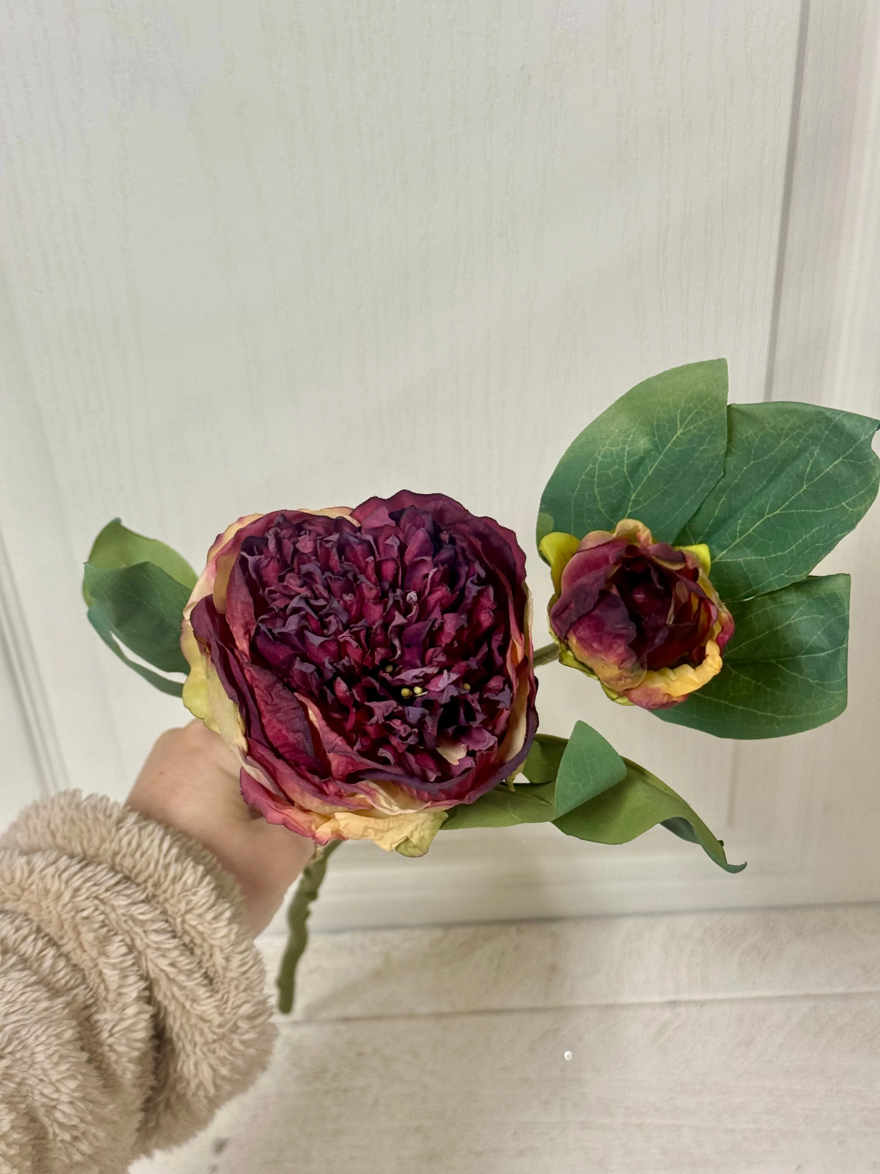 19 Inch Magenta Peony Spray
