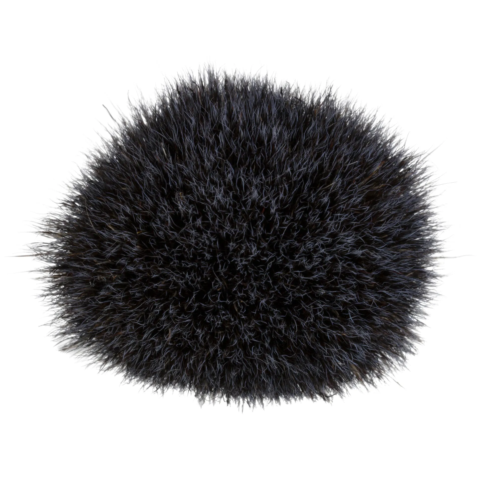 Blush Brush