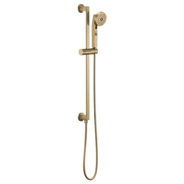 Brizo Multifunction Slide Bar Handshower 88706-GL