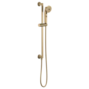 Brizo Multifunction Slide Bar Handshower 88706-GL