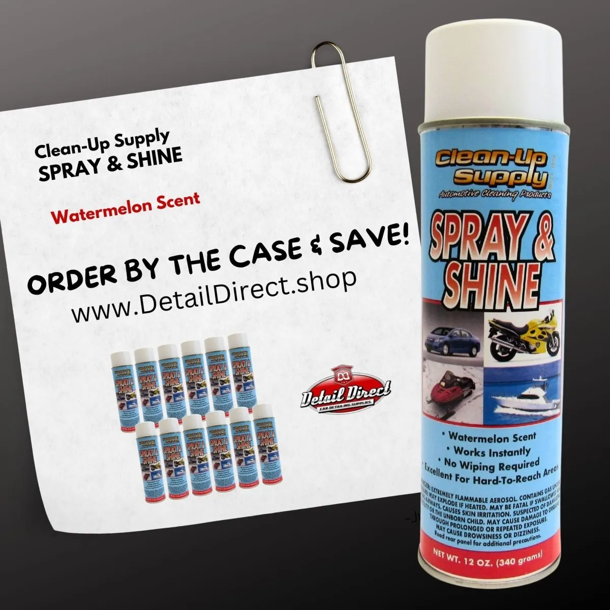 Clean-Up Supply Spray & Shine Detail Spray