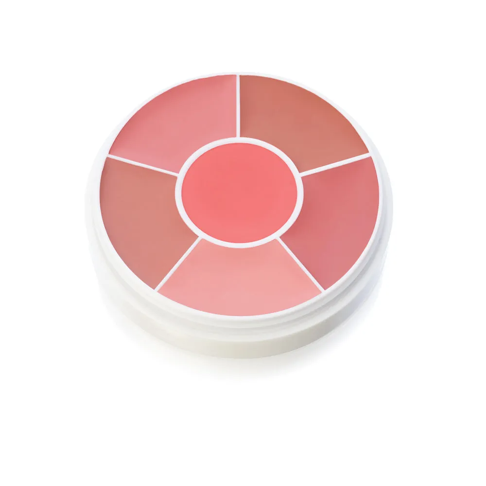 Creme Blush and Contour Wheels - Ben Nye