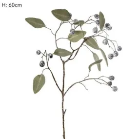 Eucalyptus and Berry Spray
