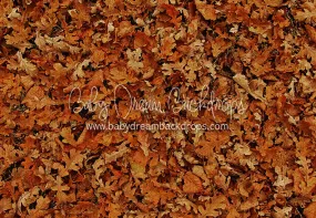 Fall Hike Leaves Floor (CC)