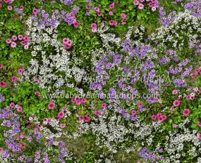 Mixed Floral Floor Fabric Drop (CC)