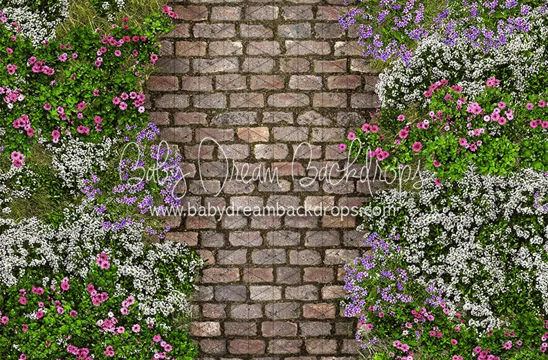 Mixed Floral Path (CC)