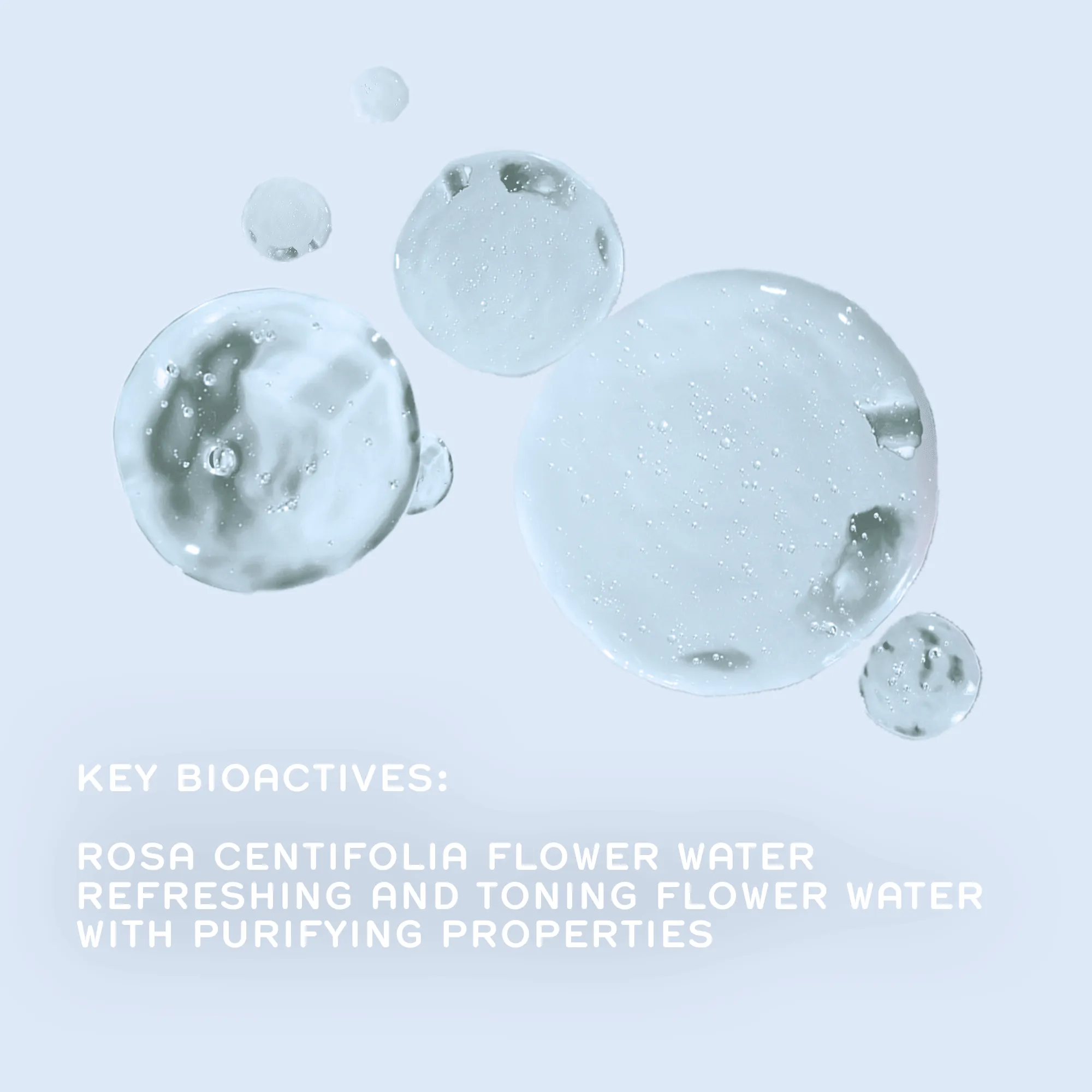 ROSA CENTIFOLIA™ CLEANSING GEL