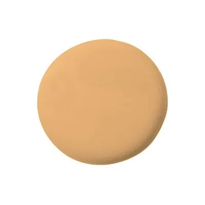 Temptu Perfect Canvas Hydra Lock Airbrush Foundation