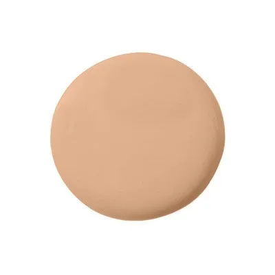 Temptu Perfect Canvas Hydra Lock Airbrush Foundation