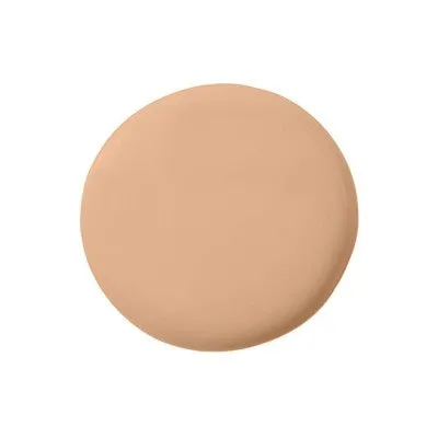 Temptu Perfect Canvas Hydra Lock Airbrush Foundation