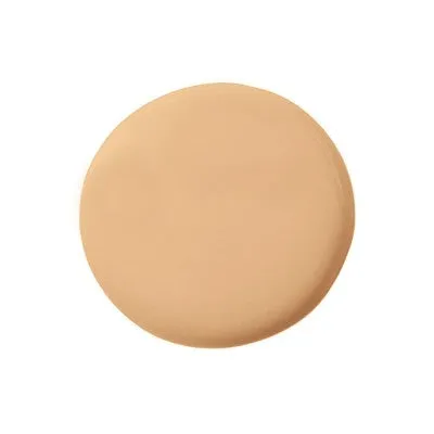 Temptu Perfect Canvas Hydra Lock Airbrush Foundation