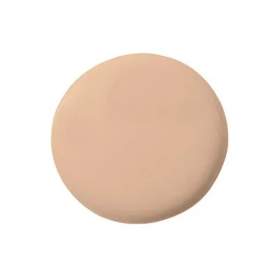 Temptu Perfect Canvas Hydra Lock Airbrush Foundation
