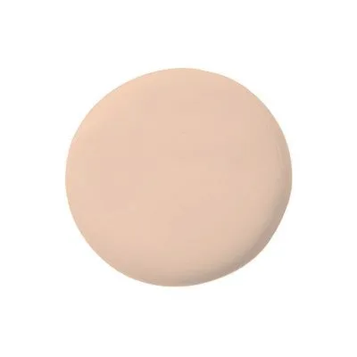 Temptu Perfect Canvas Hydra Lock Airbrush Foundation