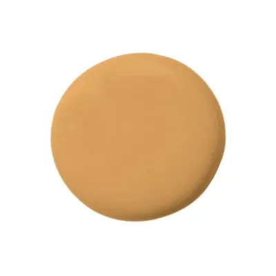 Temptu Perfect Canvas Hydra Lock Airbrush Foundation
