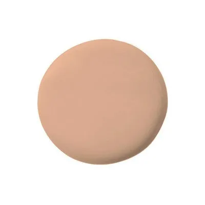 Temptu Perfect Canvas Hydra Lock Airbrush Foundation