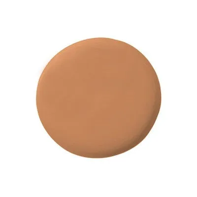 Temptu Perfect Canvas Hydra Lock Airbrush Foundation